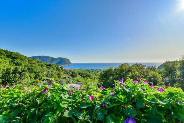 Апартаменты Pataki Guesthouse Петровац-28